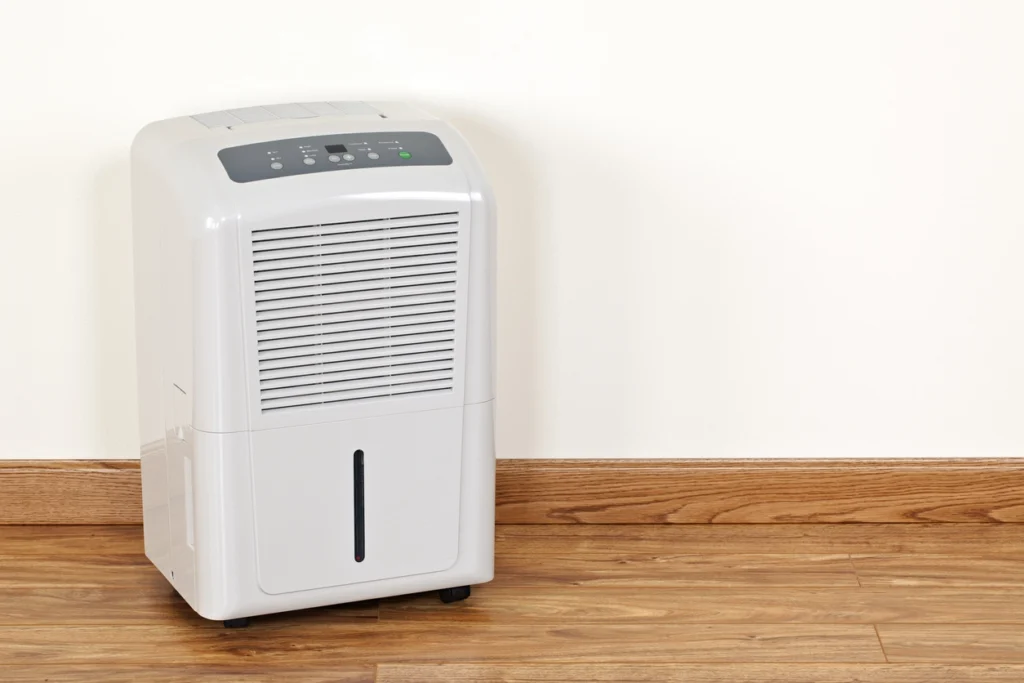 Whole House Dehumidifiers